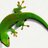 GVPPE's profile image