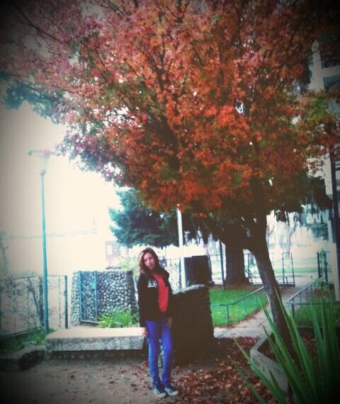 cecilia333lol's profile picture. mis bff son como rexona no te abandona...