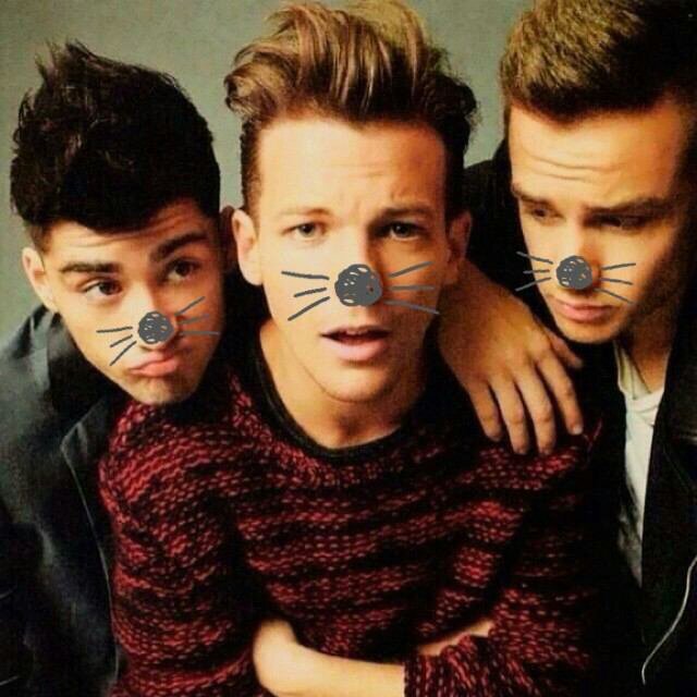 1Ｄ,Justin好きな人！ここは外国人好きな人と繋がるための垢だよ！2015.2.27埼玉スーパーアリーナ参戦！VIP♡