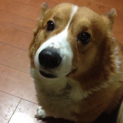 坂本さん