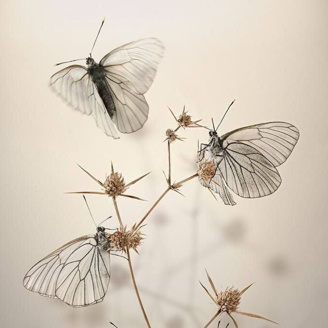 Carrybllc's profile picture. คำบางคำของใครบางคนทำให้คนอีกคนพูดไม่ออกสักคำ