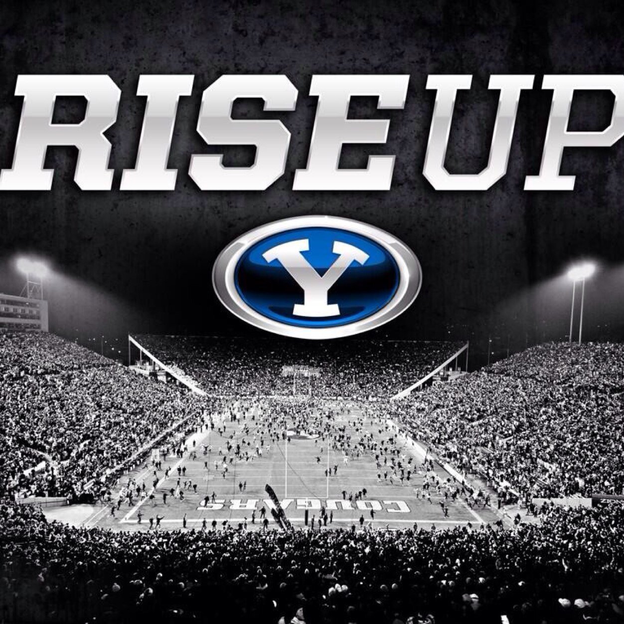 joewilson05's profile picture. Medical Device Sales Management and Training; BYU alum and fan