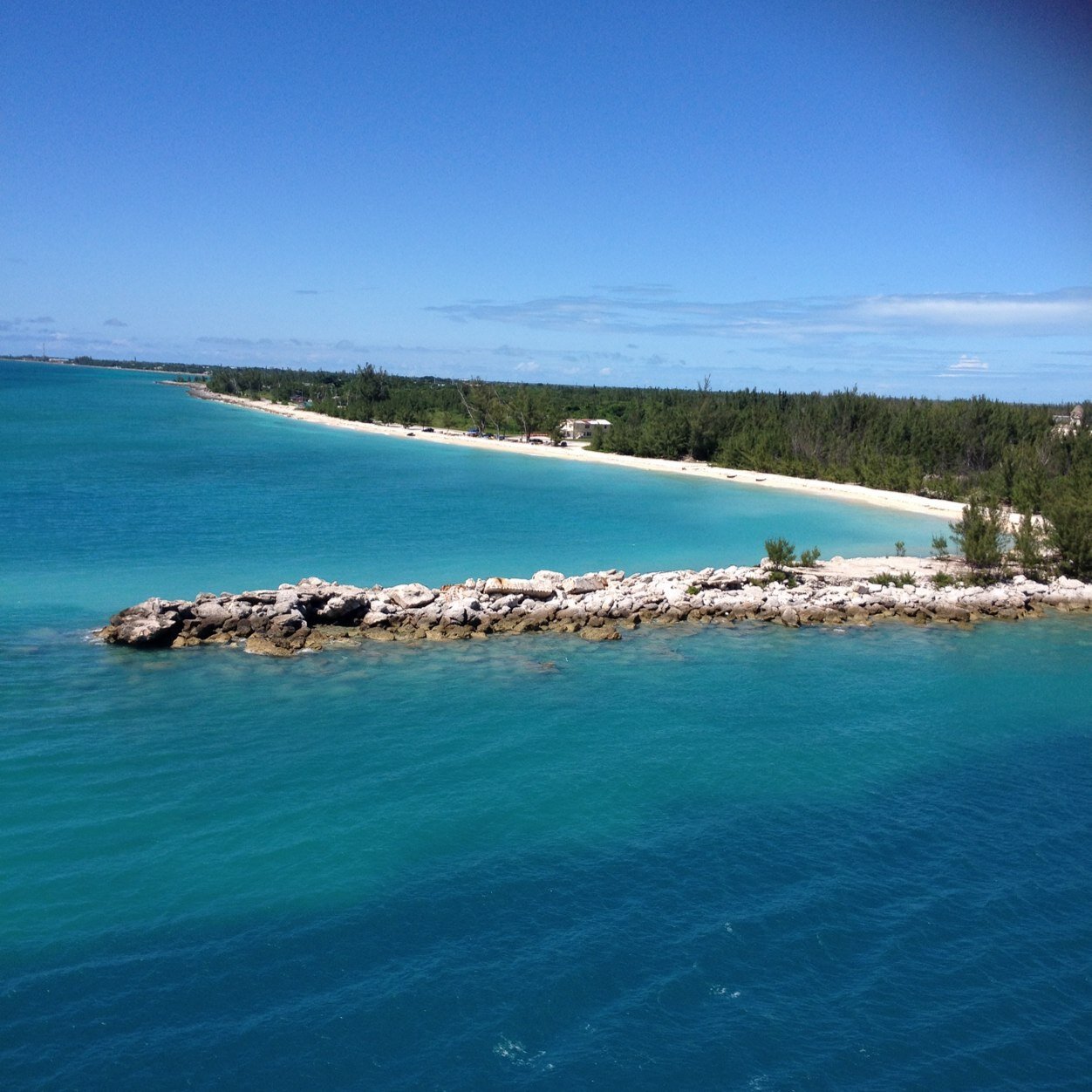 HeidiHrochon's profile picture. Program Director at MCF