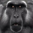 Stephen Peel - @StephenPeel - Twitter