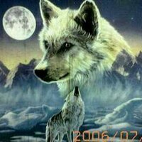 الغريب (@alkedr33902) 's Twitter Profile
