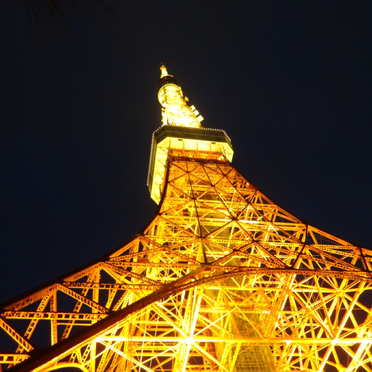東京タワー🗼杉山清貴とオメガトライブ🎵ポルノグラフィティ🎵内野聖陽、あんドーナツ、パウンドケーキ、海🌊沖縄🏖️ハワイ🌺が大好き❤