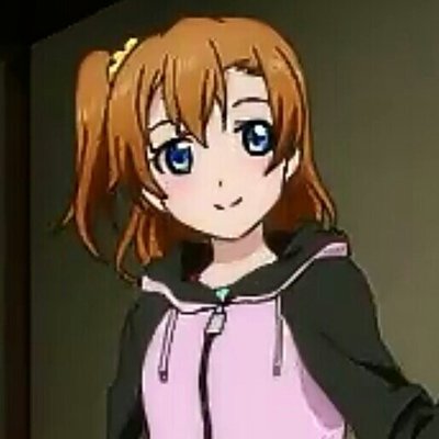 ポケモン大好きな穂乃果