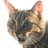 chattyleonard's profile image