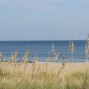 kathryn springer - @kathiespringer - Twitter