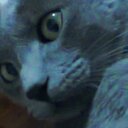 Larisa Rodríguez - @Larisa0883 - Twitter