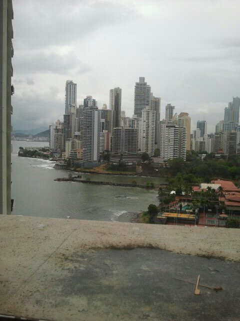 salvadPaitilla's profile picture. 