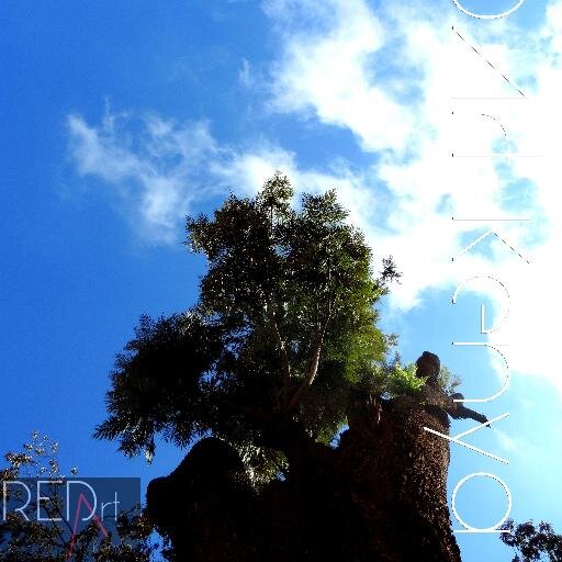 REDArtKenya's profile picture. Occupation: Appreciate the art in life.