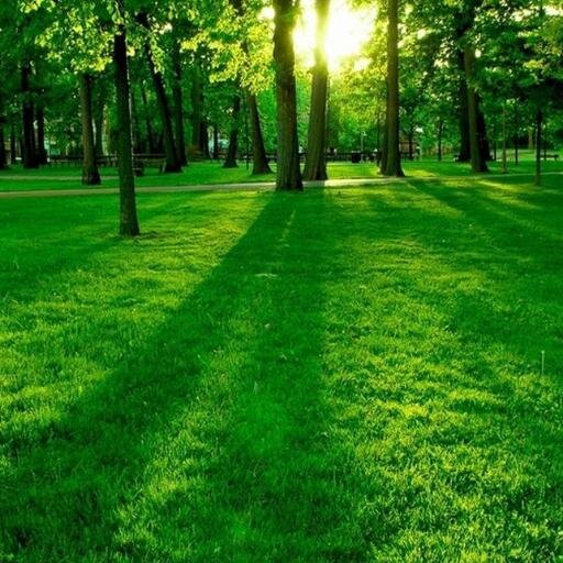 All are equal in this earth and this earth is common to all.