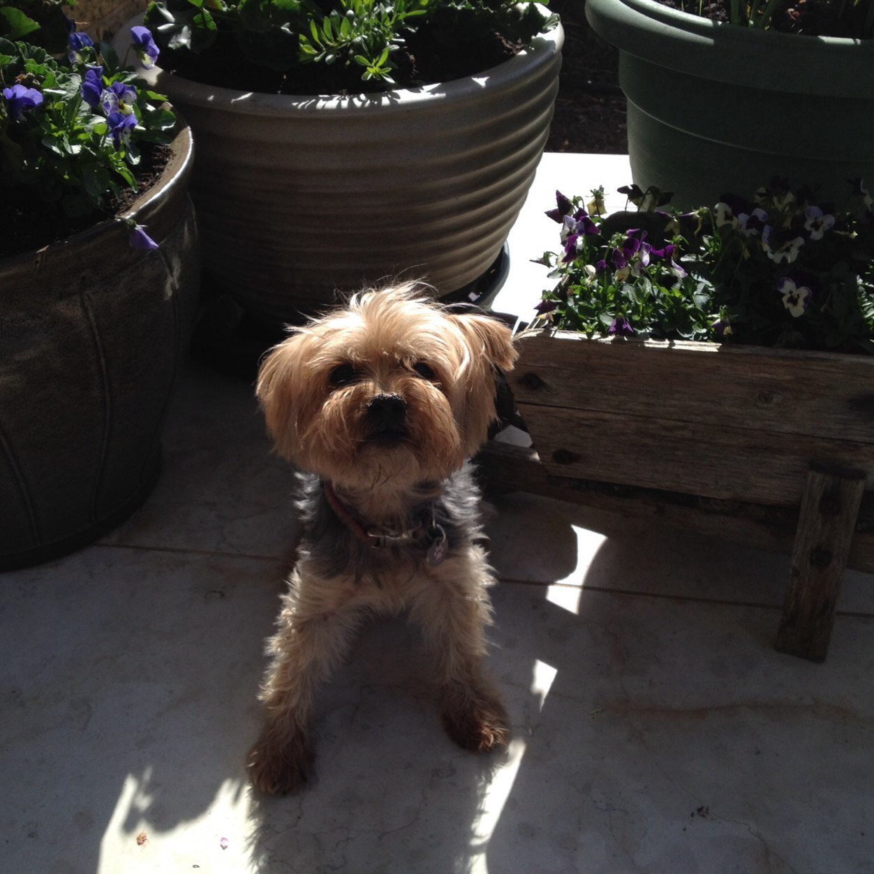 kjsmartie's profile picture. 