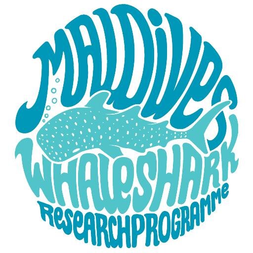 The MWSRP exists to conduct whale shark research and conservation initiatives throughout the Maldives and the Indian Ocean.