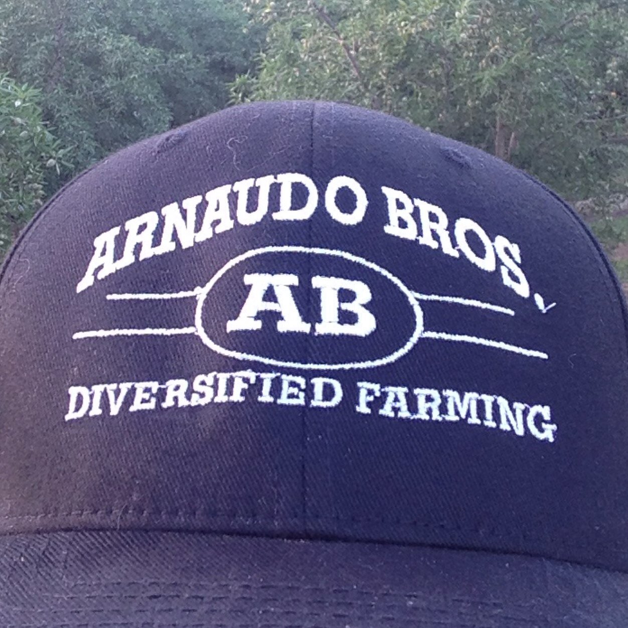 logen_obrien's profile picture. No one is going to hand me success. I must go out & get it myself. That’s why I’m here. To dominate. To conquer. Both the world, and myself.