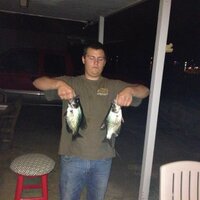 MO BOWHUNTER (@alexbaseballs) 's Twitter Profile