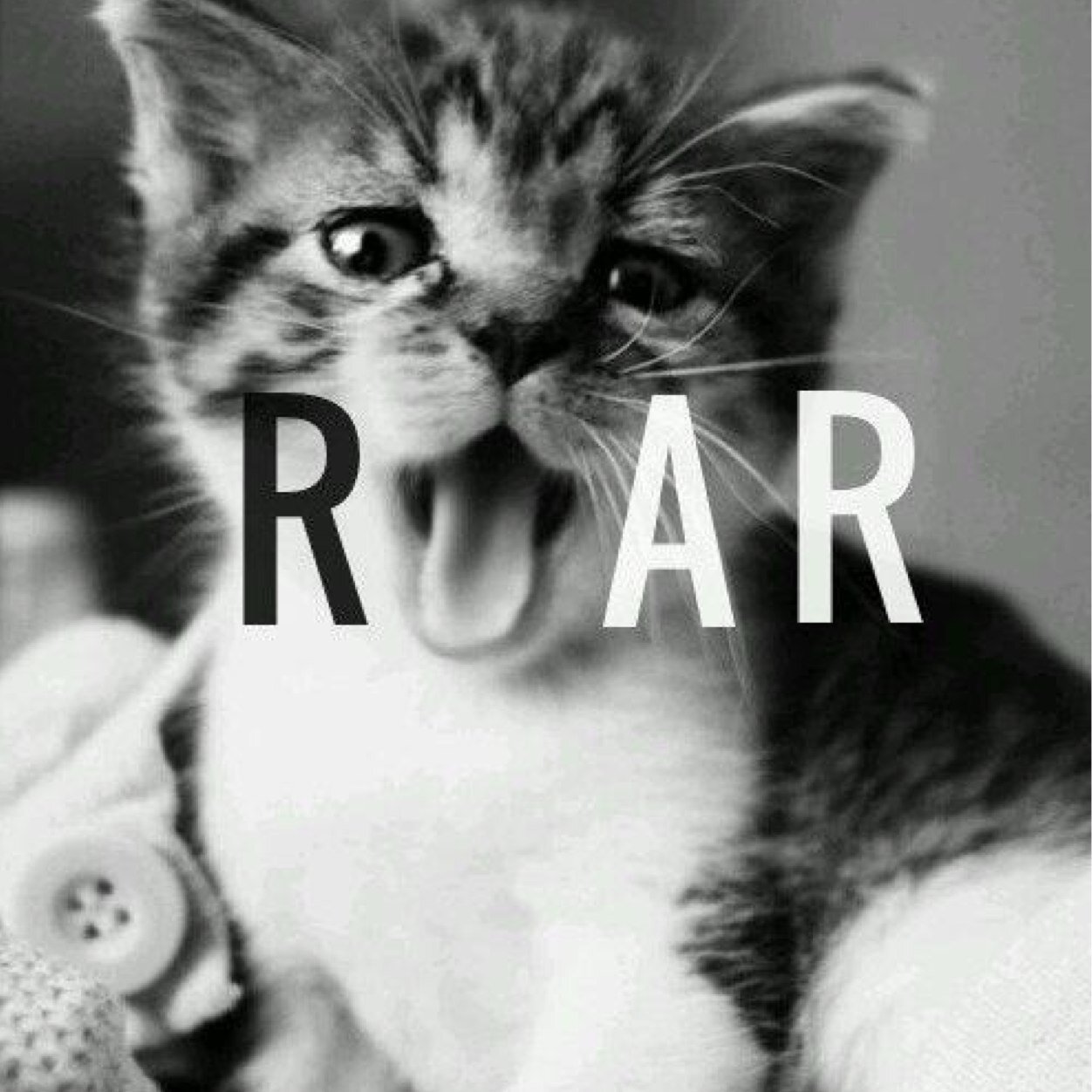 ReggaePandaMC's profile picture. 