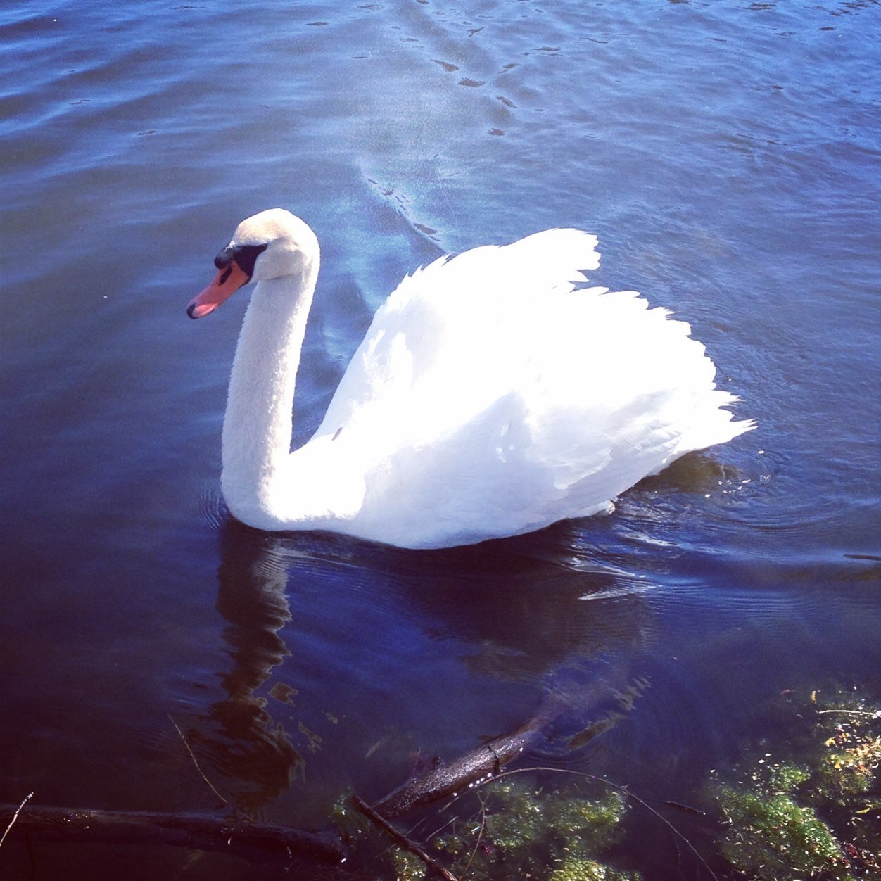 Waskie_89's profile picture. Imagination is more important than knowledge. Knowledge is limited. Imagination encircles the world.- AE