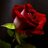 ehsasfofo742009's profile image