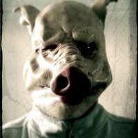 david peacock (@evilonion) 's Twitter Profile