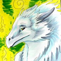 Dragon Echo (@draecho) 's Twitter Profile