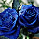 CINTHYA CORDERO LEON - @leon_cordero - Twitter