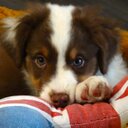 Michael Keizer - @michael_1303 - Twitter