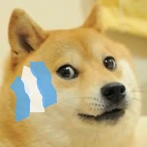Entusiasta del DogeCoin / DogeCoin Enthusiast. Doge: DANgJp51vrGL2zzbH3zBSi4LcBimuuFHme