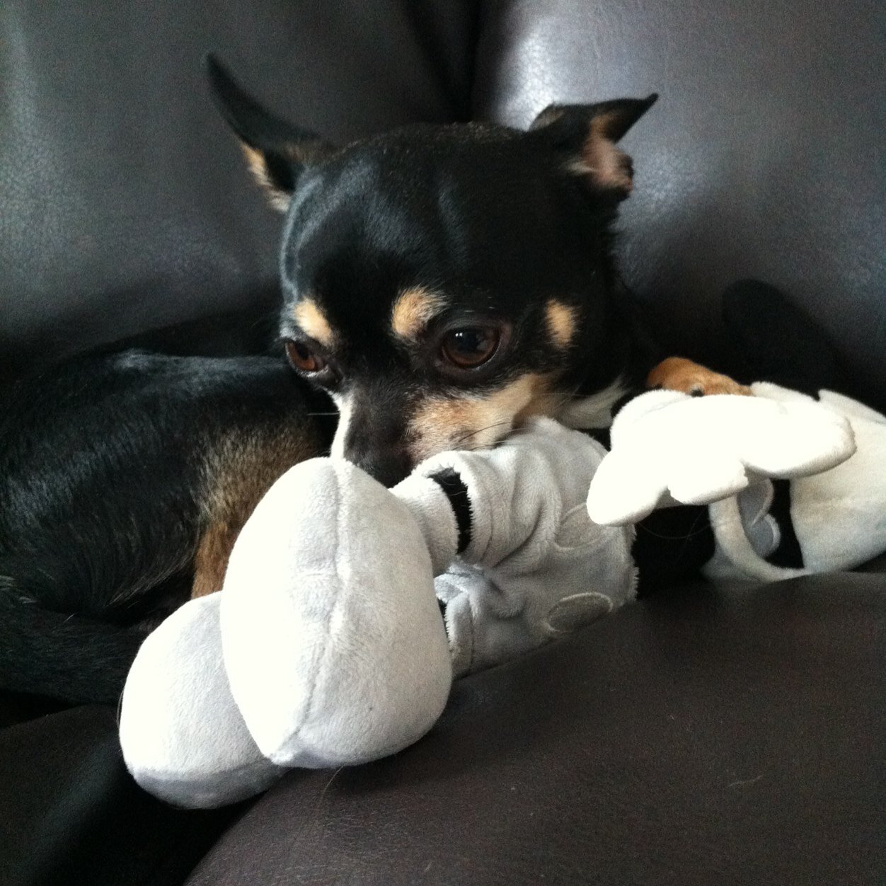 Michelle Heyduk Profile