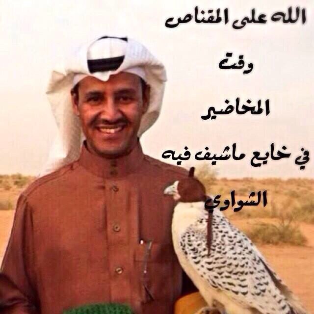 Abo201093's profile picture. 