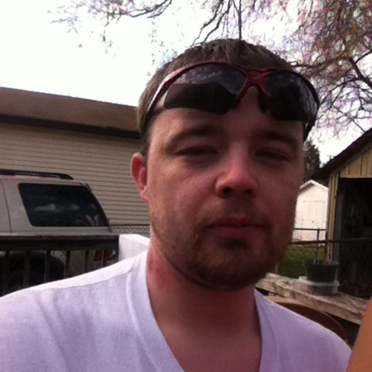 DustiePhillips's profile picture. 