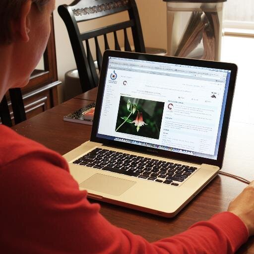 Trying to teach a better way of life. Internet marketing is the way of the future. Work from anywhere!