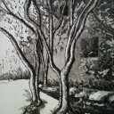 anne beaven - @nevaebenna - Twitter