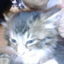 Michelle Gatlin - @MichelleGatlin1 - Twitter