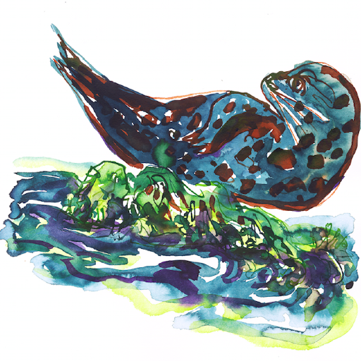 mattiaskroon's profile picture. 