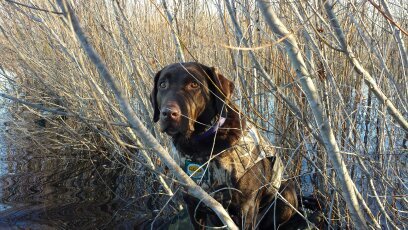 6dasher's profile picture. 