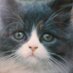 Rosalba Gattari (@gattariro) Twitter profile photo
