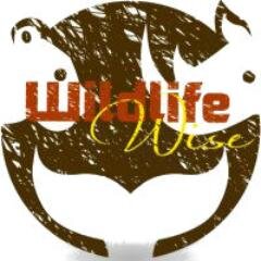 Wildlifin'