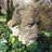 HarlowSculpture's profile image