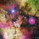 Red Bird - @ReidBird14 - Twitter