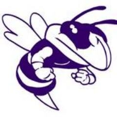 Official Angola Lady Hornet Softball Twitter Acct -  #1 Source of Team News, Scores, Updates and More