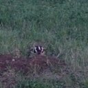 Michelle Stanek - @michelleeeessss - Twitter