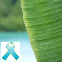 BLessStressed's profile picture. Looking for tips on being less stressed in a hectic world