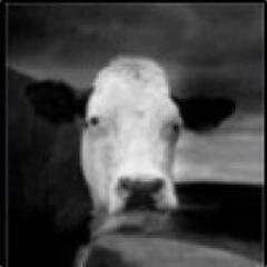 onurodabasi's profile picture. 