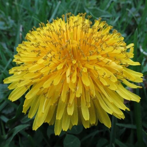 SolonIowa's profile picture. News and happenings in Solon Iowa