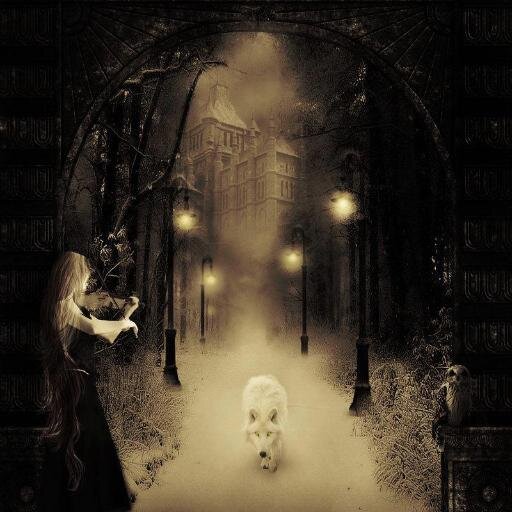 fer_montes_'s profile picture. hija de la luna, amante de los libros, la poesía el café, el cigarro y los lobos... (LONGBOARDGIRL)