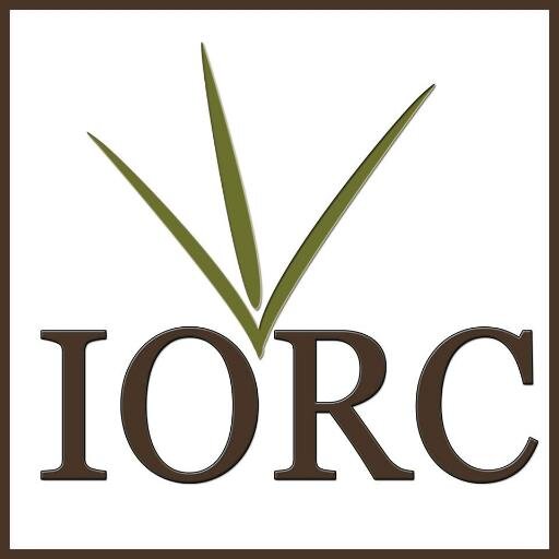 IORCinfo Profile Picture