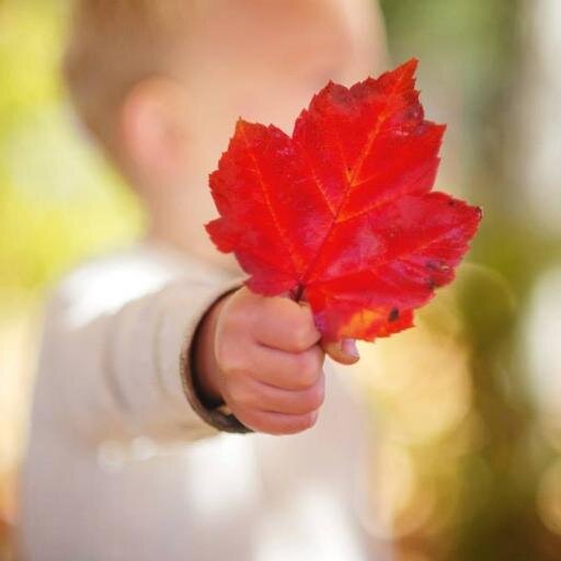 VP Marketing | Super Mom (of 2) | Wine Advocate | Sports Enthusiast