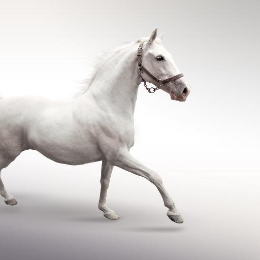 mariawapa001's profile picture. 